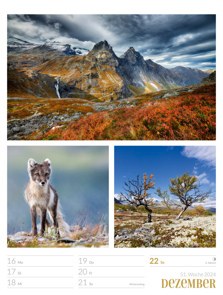 Bild: 9783838424811 | Farben der Natur - Wochenplaner Kalender 2024 | Ackermann Kunstverlag