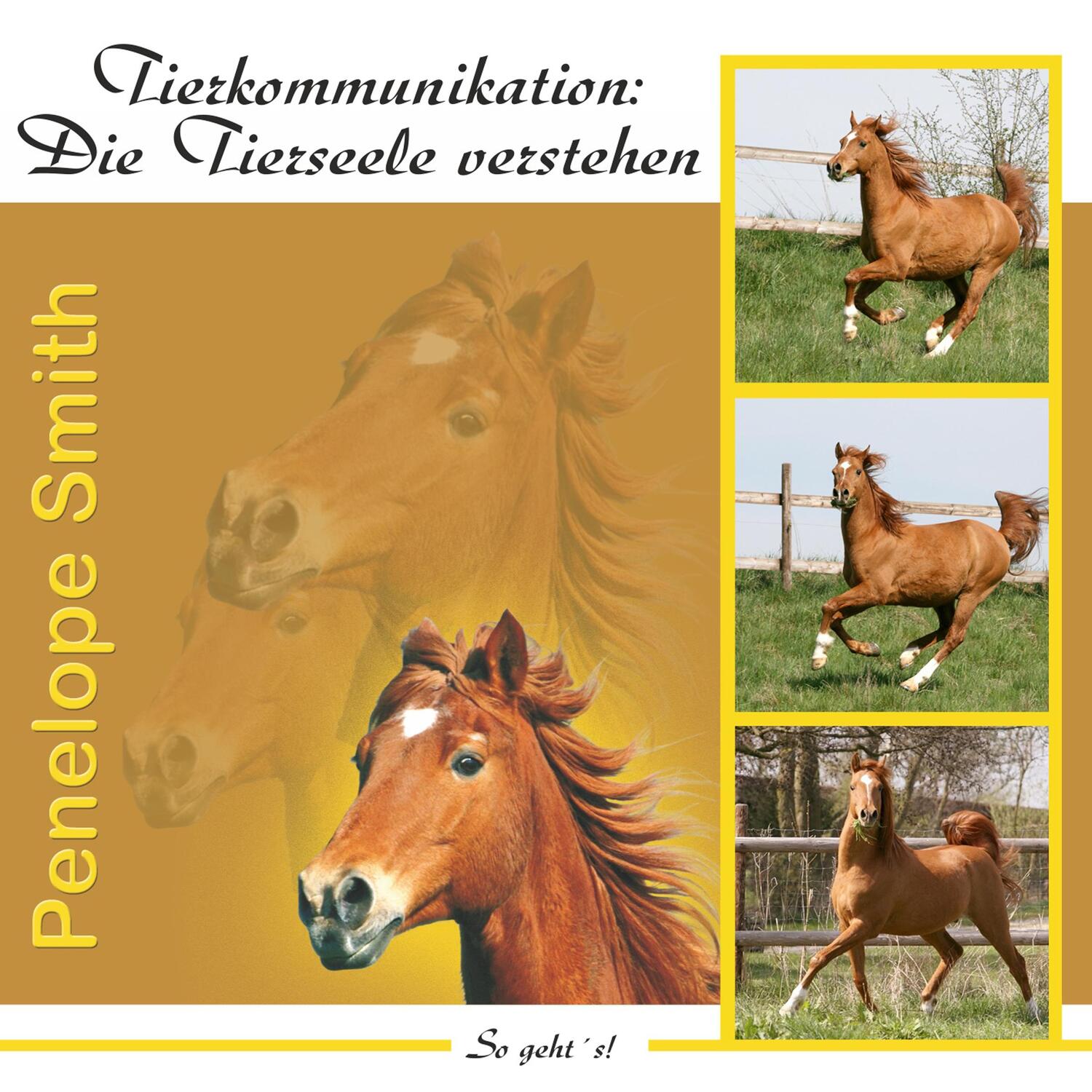 Cover: 9783926388933 | Tierkommunikation: Die Tierseele verstehen. Audio-CD | Penelope Smith