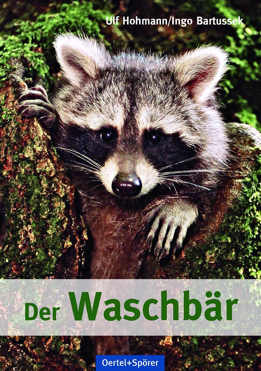 Cover: 9783886273195 | Der Waschbär | Ulf Hohmann (u. a.) | Taschenbuch | Deutsch | 2018