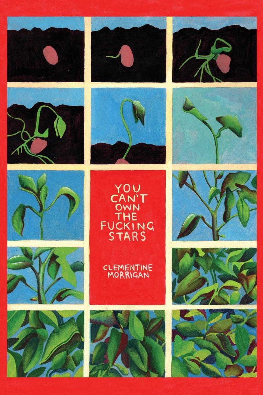 Cover: 9781999419202 | You Can't Own the Fucking Stars | Clementine Morrigan | Taschenbuch