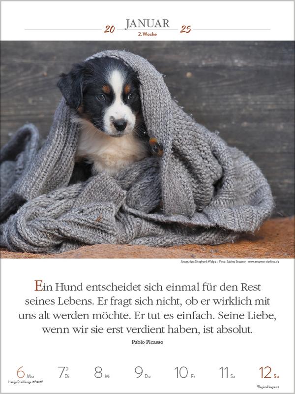 Bild: 9783731877271 | Literaturkalender Hunde 2025 | Verlag Korsch | Kalender | 54 S. | 2025