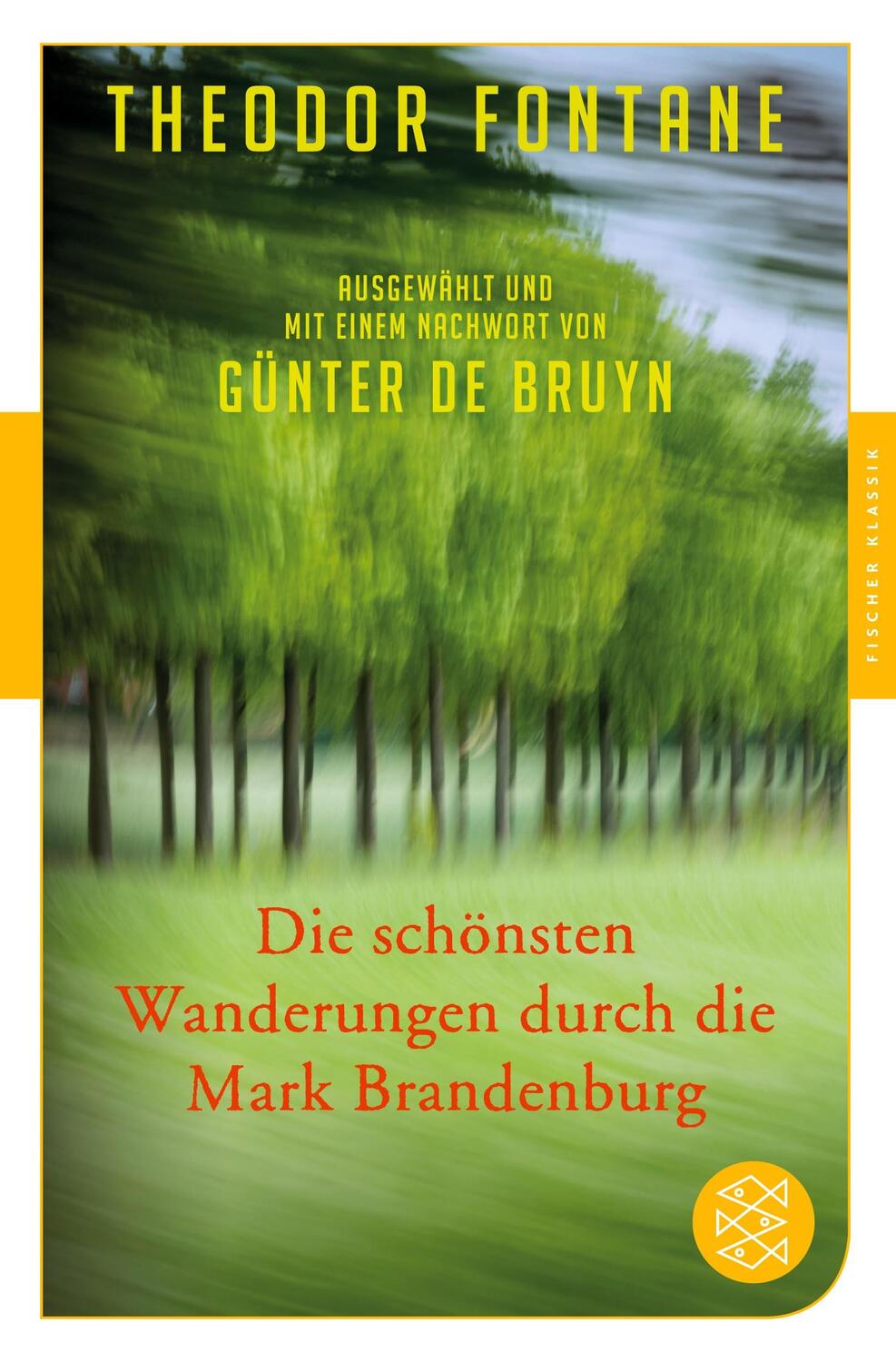 Cover: 9783596906611 | Die schönsten Wanderungen durch die Mark Brandenburg | Theodor Fontane