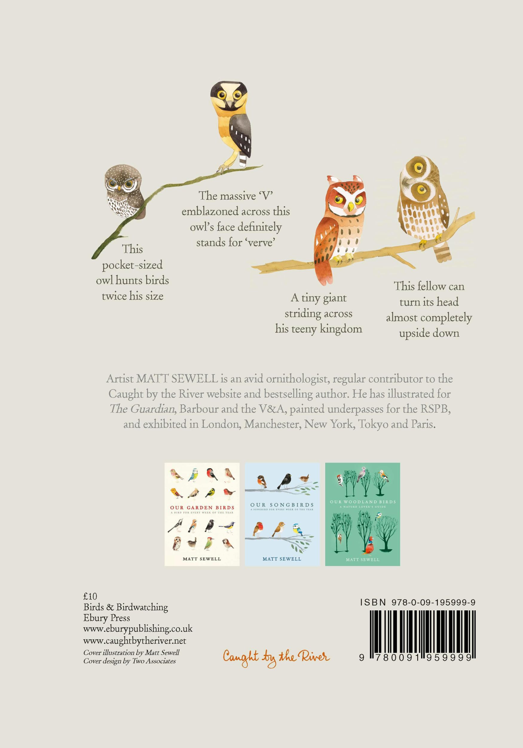 Rückseite: 9780091959999 | Owls | Our Most Enchanting Bird | Matt Sewell | Buch | Gebunden | 2014