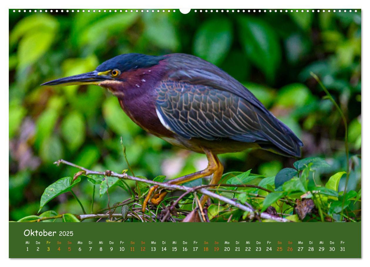 Bild: 9783383830099 | Costa Rica - Naturparadies zwischen Karibik und Pazifik...