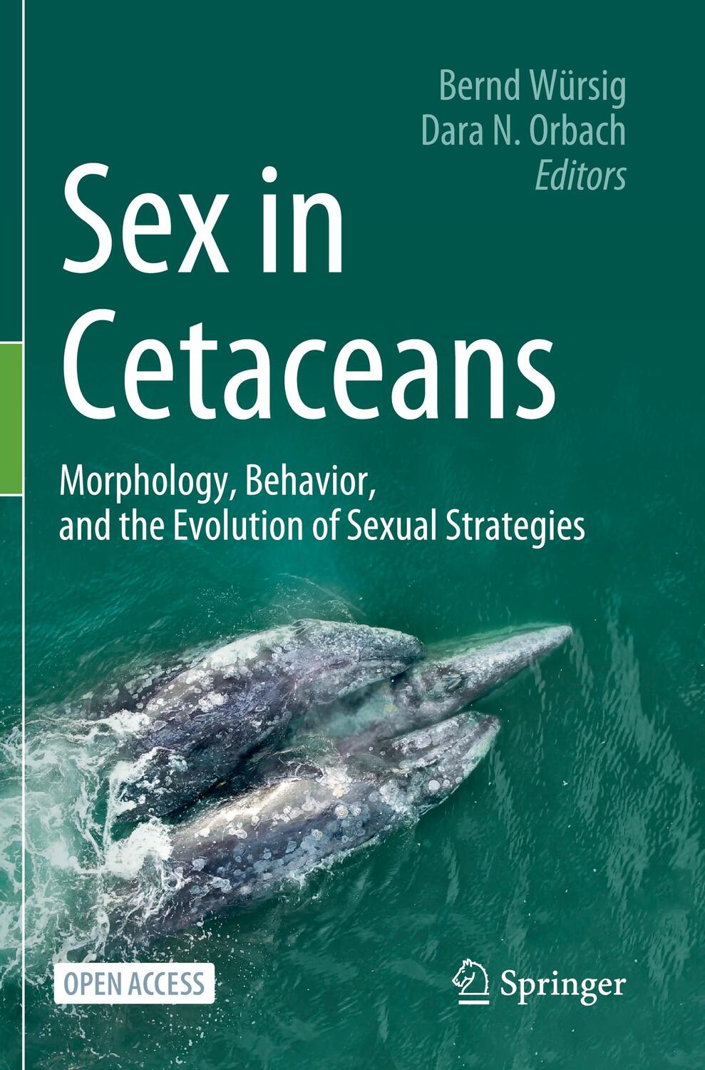 Cover: 9783031356537 | Sex in Cetaceans | Dara N. Orbach (u. a.) | Taschenbuch | Paperback