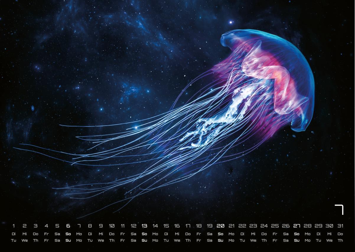 Bild: 9783986734305 | Sealife - verborgene Tiefen - 2025 - Kalender DIN A3 | GP-Fever.de