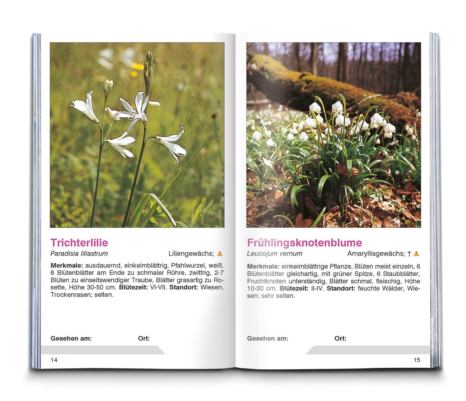 Bild: 9783991215387 | KOMPASS Naturführer Wiesenblumen | Christine Jaitner | Taschenbuch