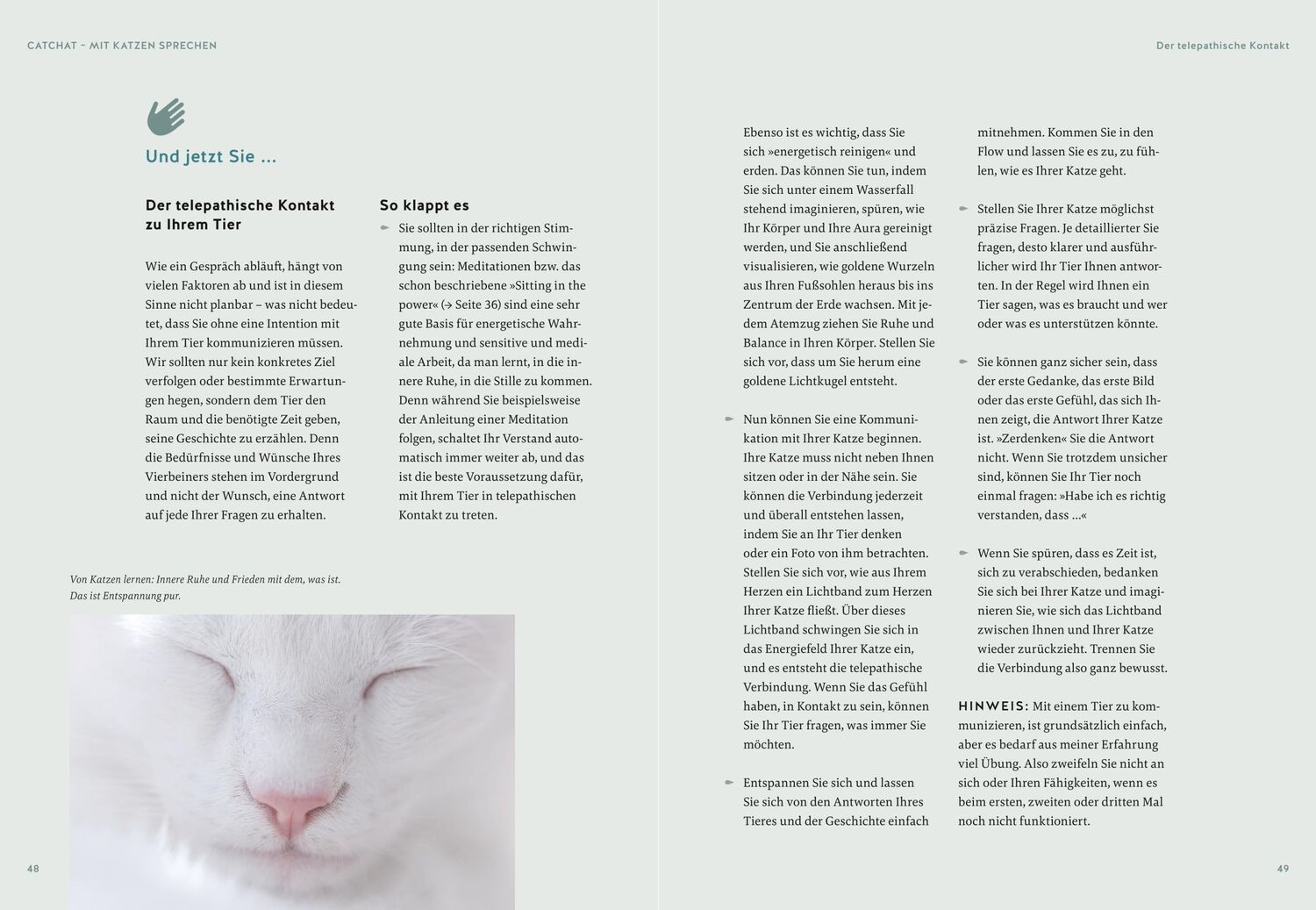 Bild: 9783833887895 | Was will mir meine Katze sagen? | Helke Brandt | Buch | 192 S. | 2023