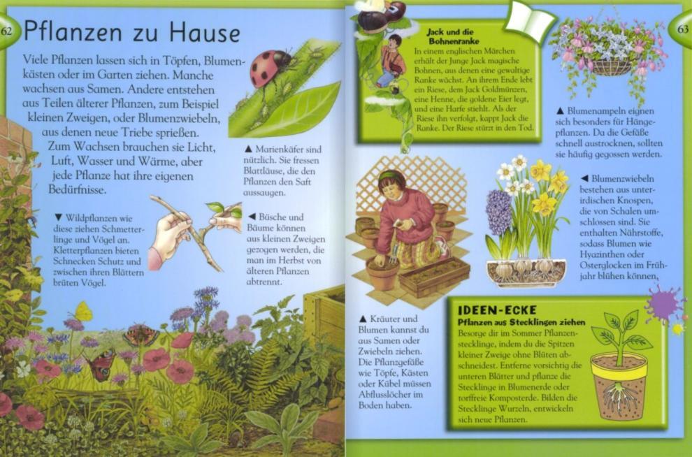 Bild: 9783831013296 | Das große Kinderlexikon Grundschulwissen | Buch | 320 S. | Deutsch