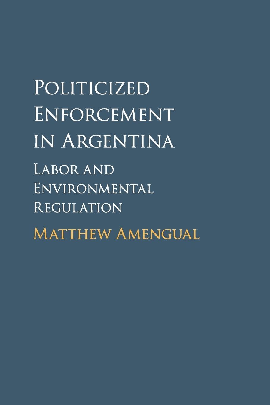Cover: 9781107595132 | Politicized Enforcement in Argentina | Matthew Amengual | Taschenbuch