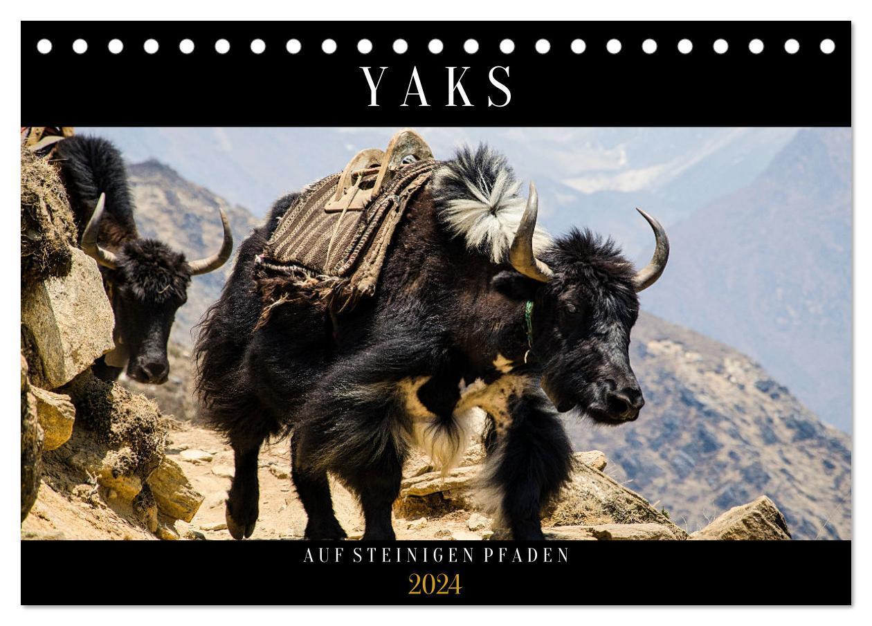 Cover: 9783675910744 | Yaks - auf steinigen Pfaden (Tischkalender 2024 DIN A5 quer),...