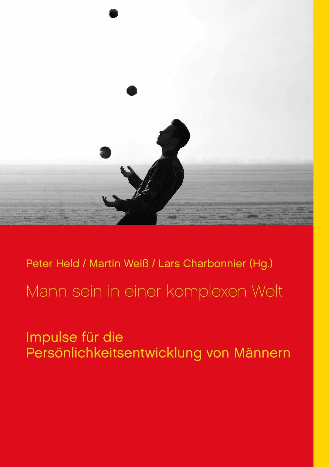 Cover: 9783750400474 | Mann sein in einer komplexen Welt | Peter Held (u. a.) | Taschenbuch