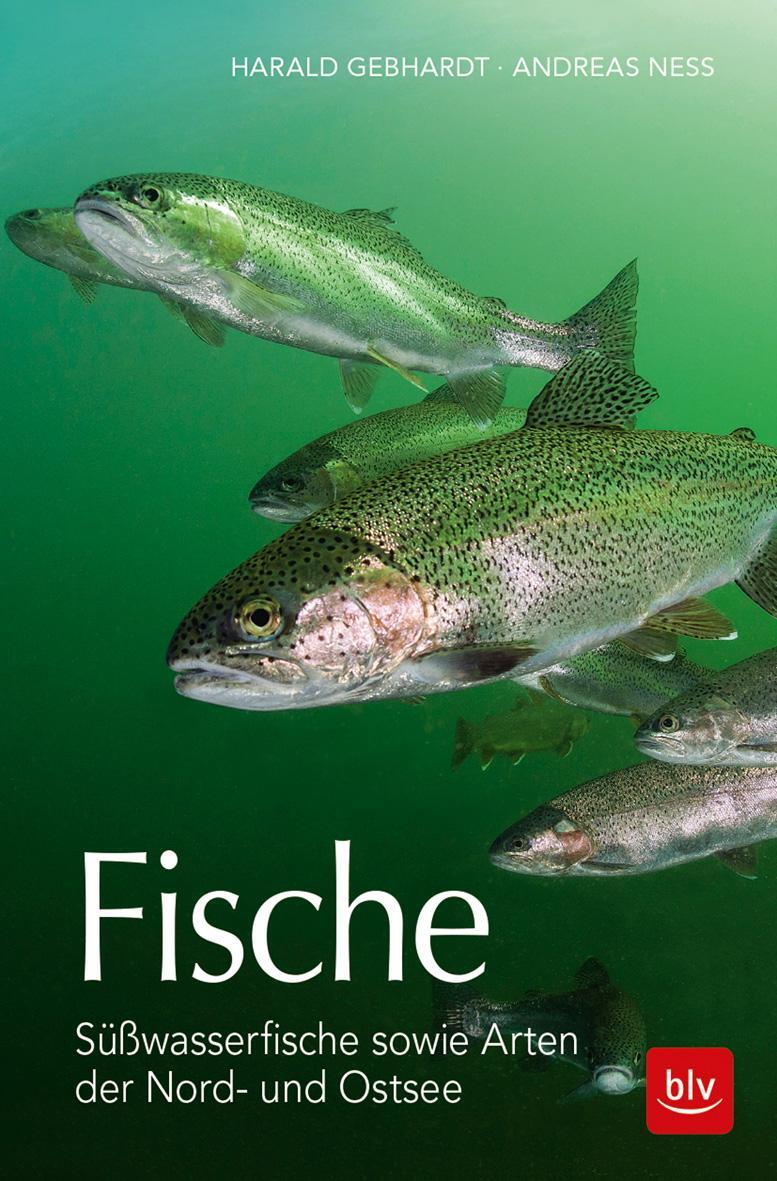 Fische - Gebhardt, Harald