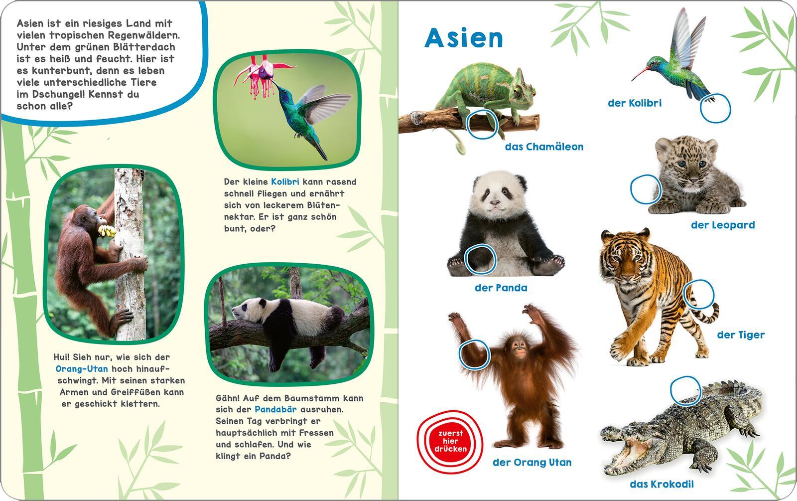 Bild: 9783845865089 | Mein großes Geräuschebuch - Tiere der Welt | Mit 49 Sounds | Buch