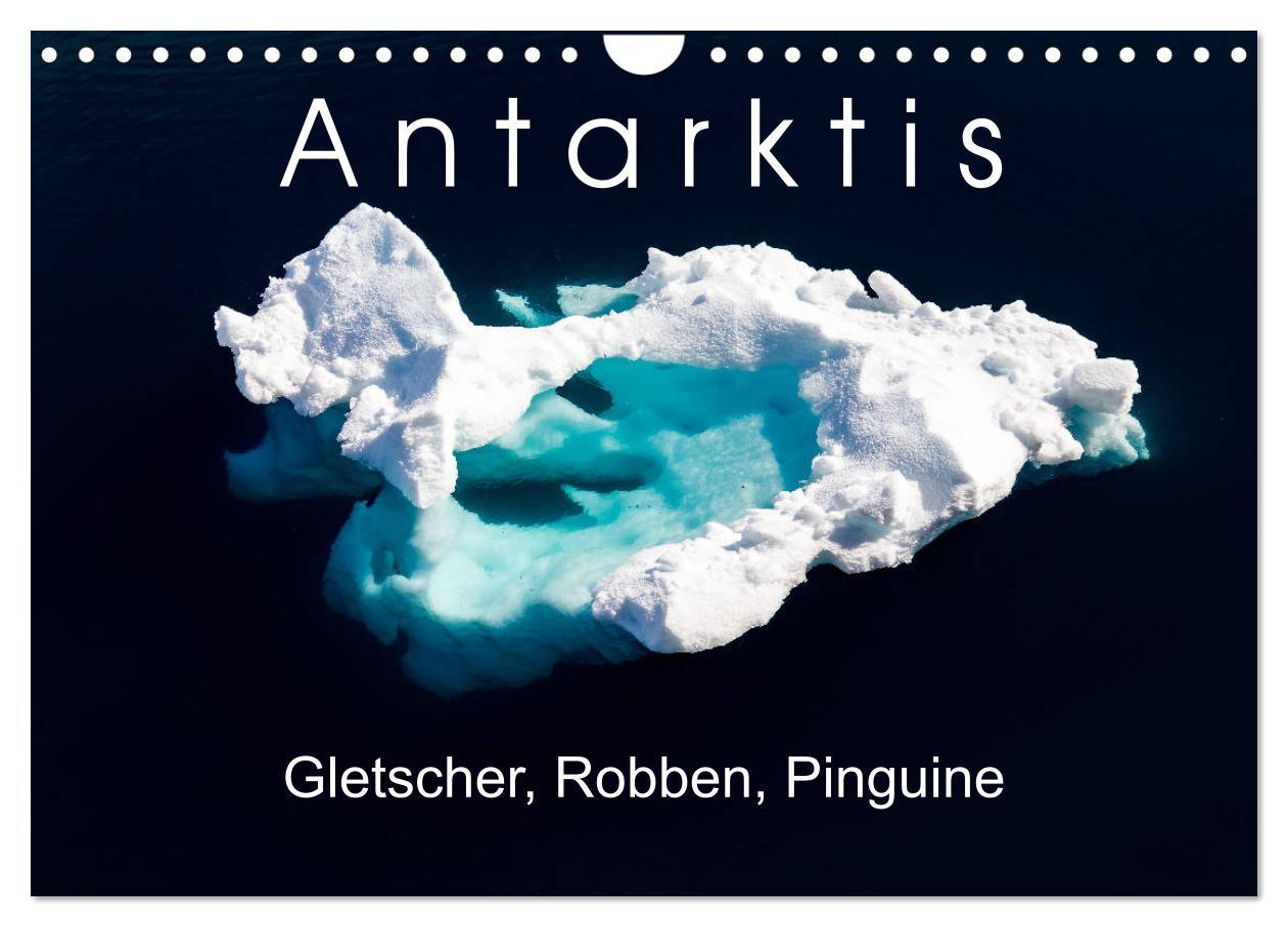 Cover: 9783435258147 | Antarktis Gletscher, Robben, Pinguine (Wandkalender 2025 DIN A4...