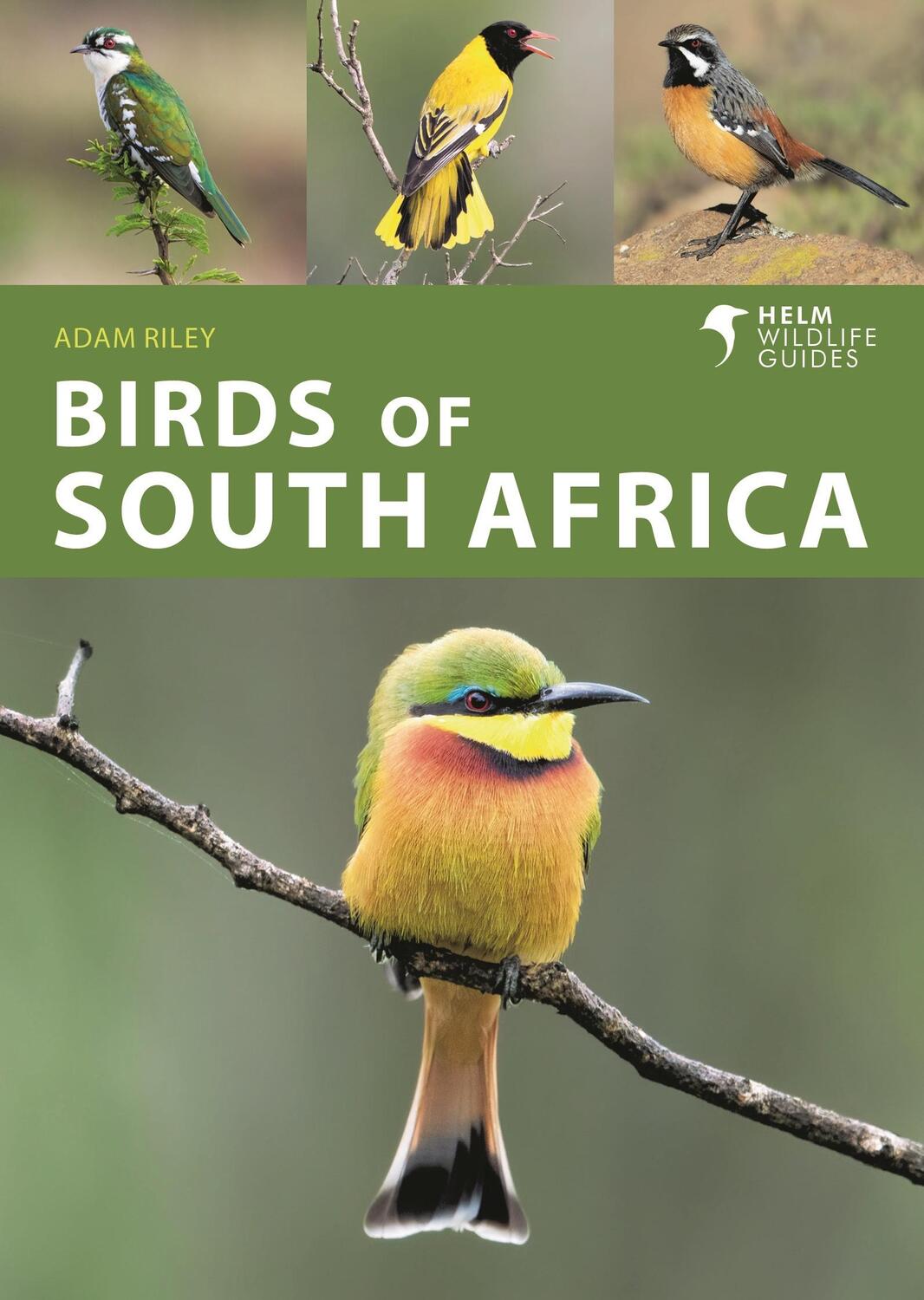 Autor: 9781472990808 | Birds of South Africa | Adam Riley | Taschenbuch | Englisch | 2022