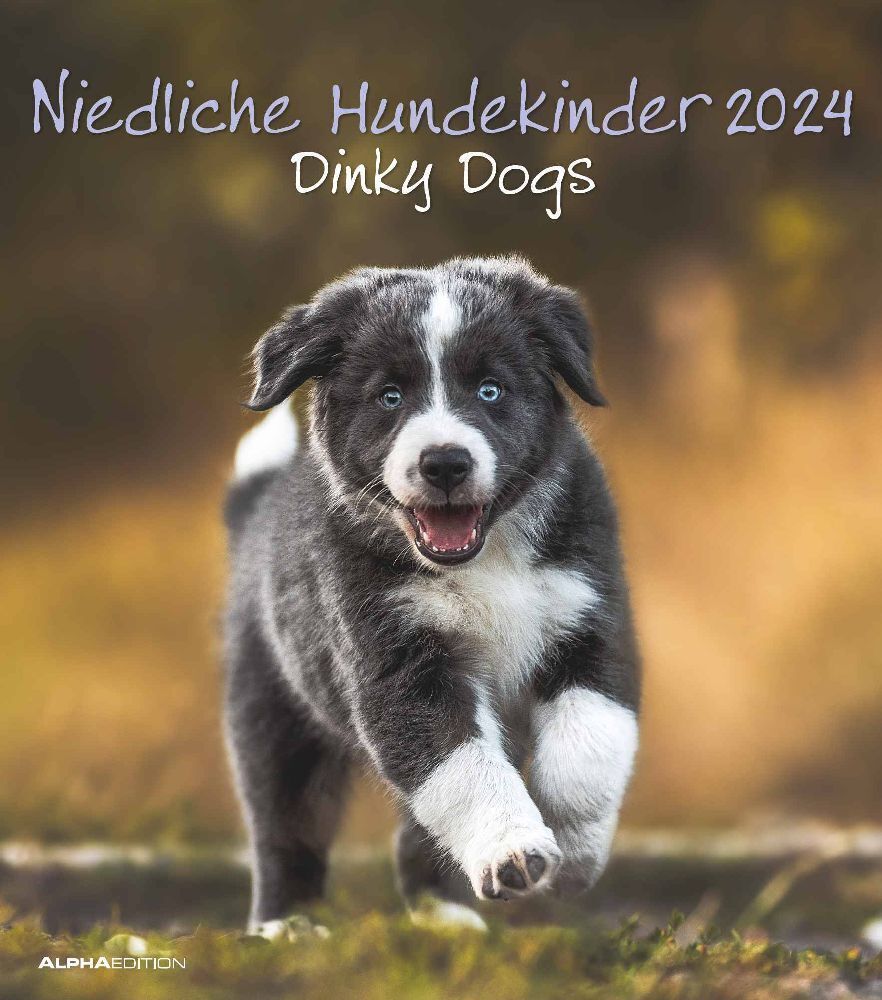 Cover: 4251732335182 | Niedliche Hundekinder 2024 - Wand-Kalender - Tier-Kalender - 30x34
