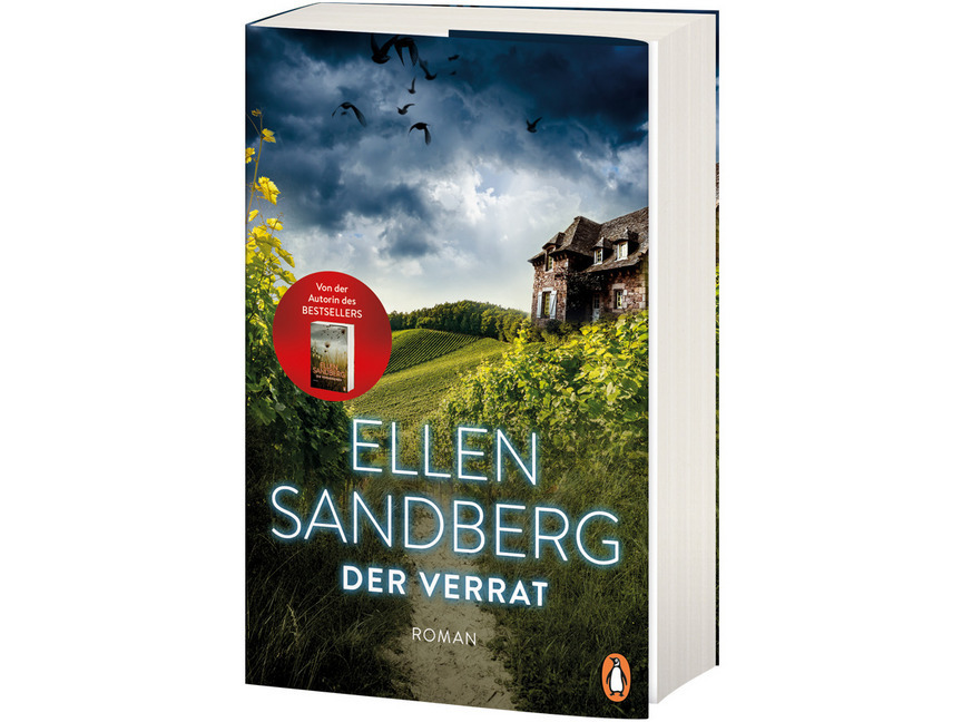 Bild: 9783328100904 | Der Verrat | Ellen Sandberg | Taschenbuch | 460 S. | Deutsch | 2018