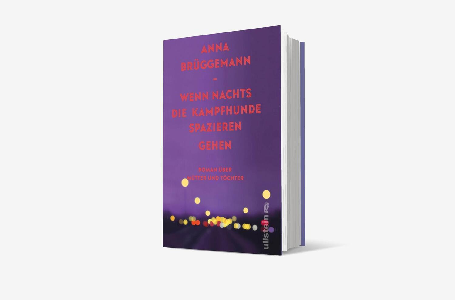 Bild: 9783550202216 | Wenn nachts die Kampfhunde spazieren gehen | Anna Brüggemann | Buch