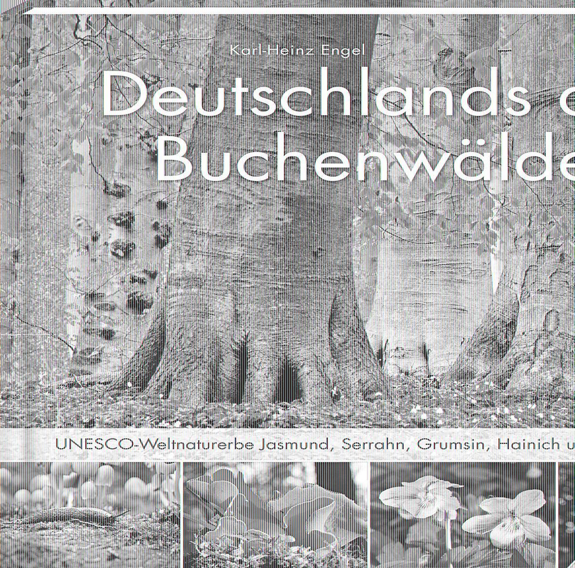 Cover: 9783957990105 | Deutschlands alte Buchenwälder | Karl Heinz Engel | Buch | 103 S.