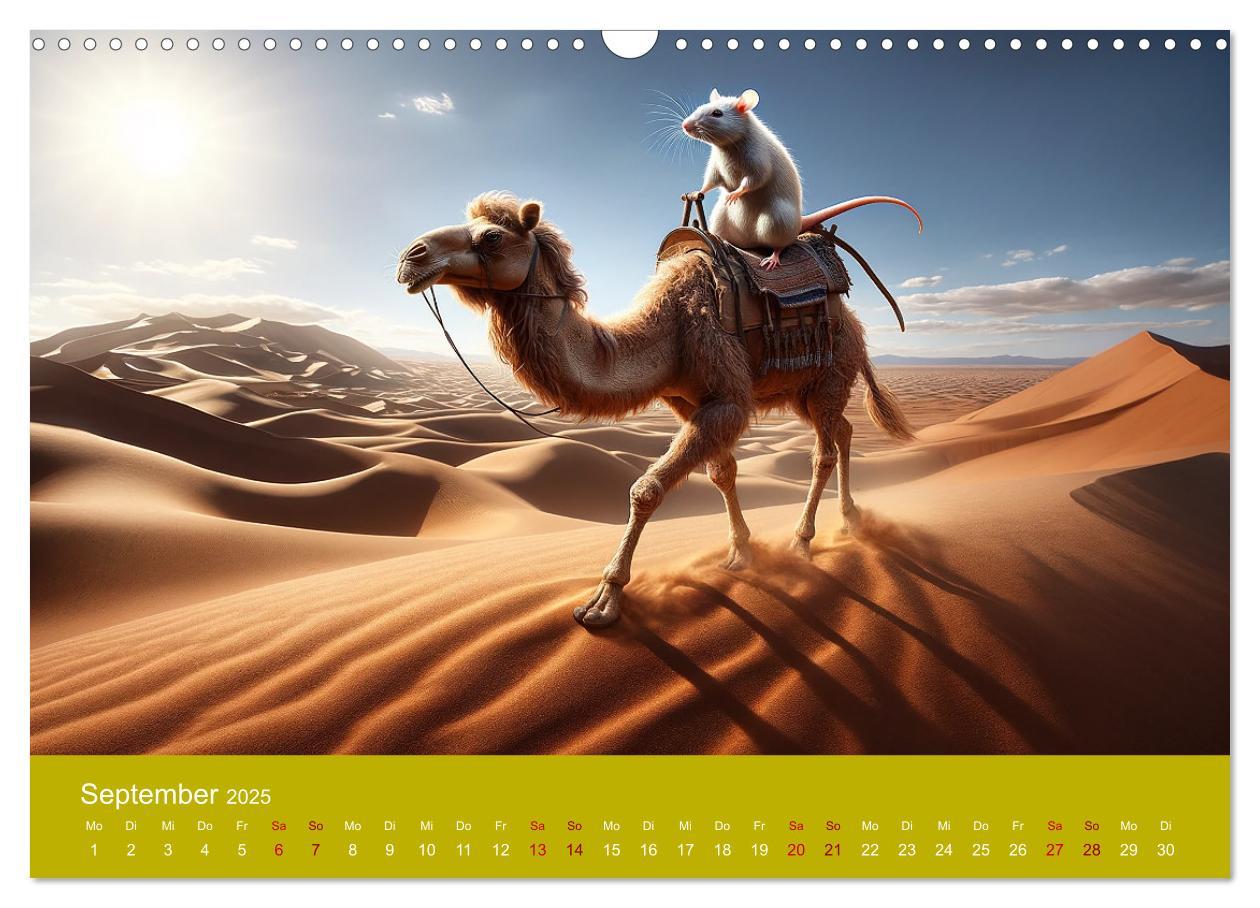 Bild: 9783383768637 | Abenteuerliche Ratten (Wandkalender 2025 DIN A3 quer), CALVENDO...