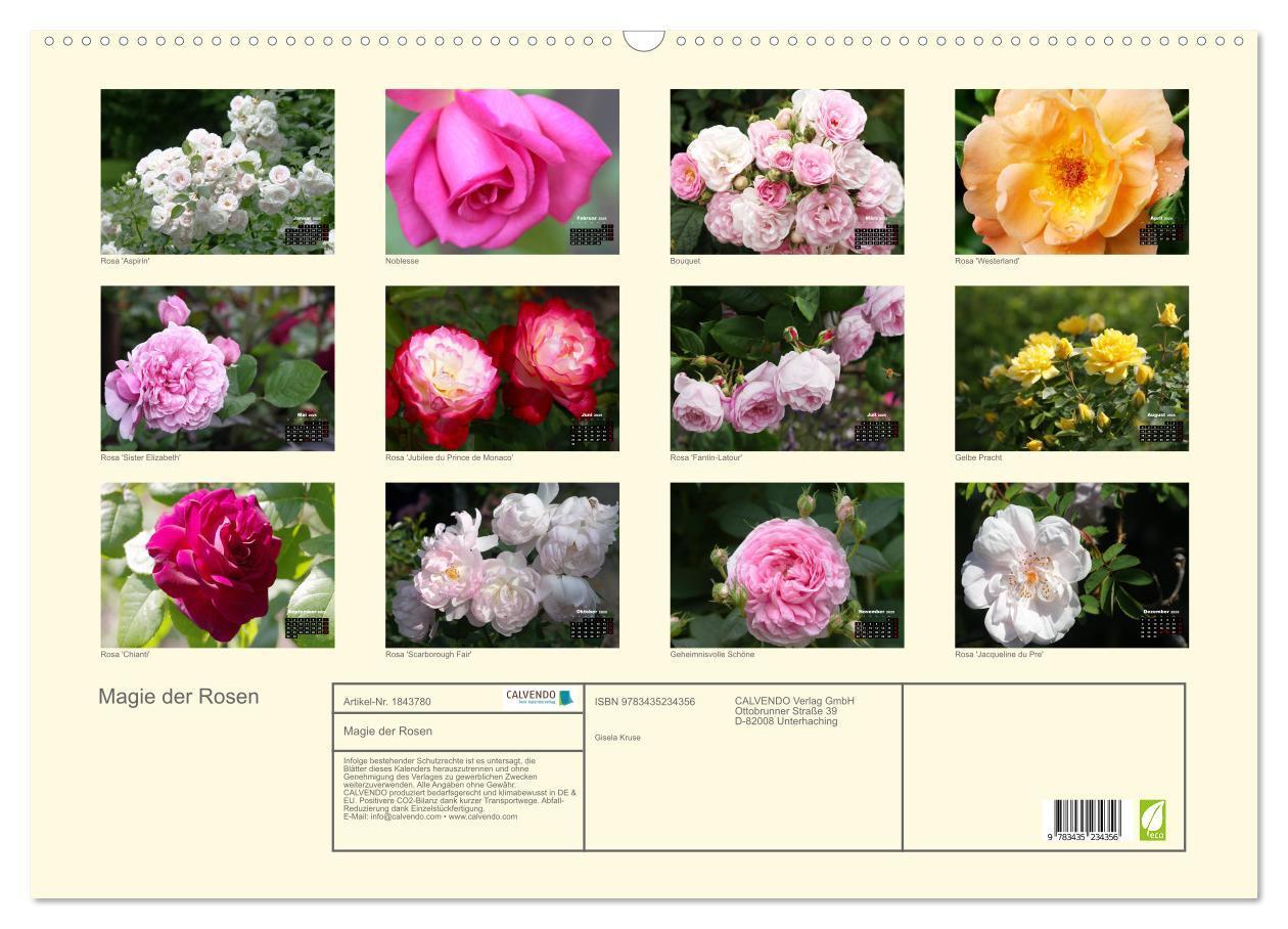 Bild: 9783435234356 | Magie der Rosen (Wandkalender 2025 DIN A2 quer), CALVENDO...