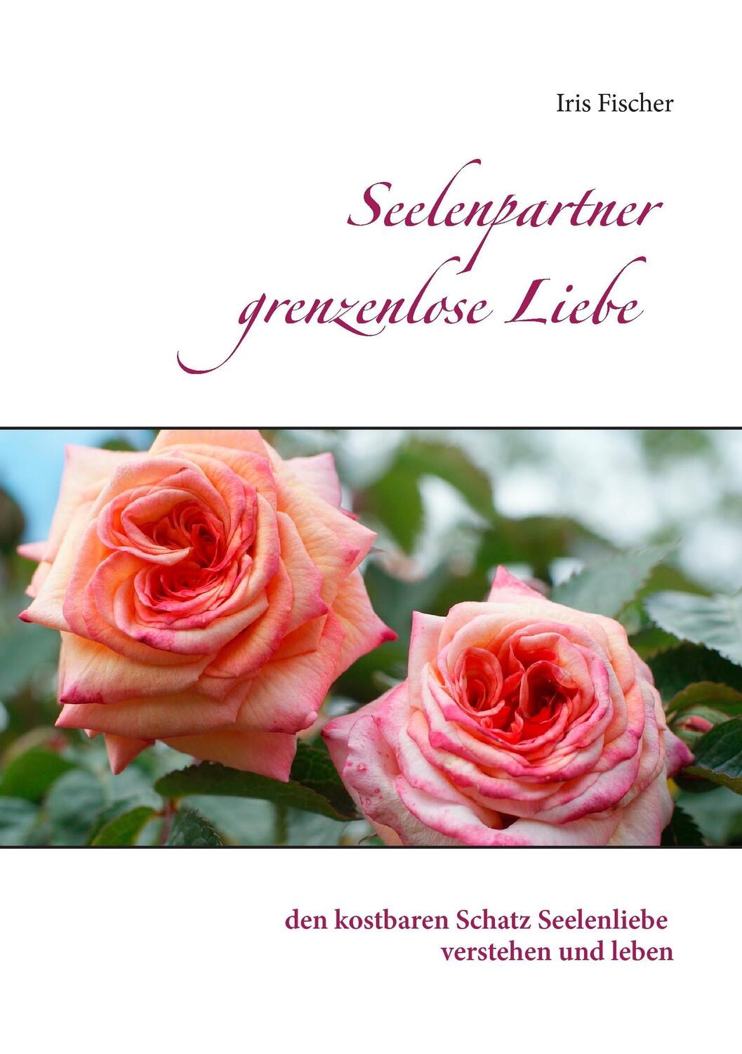 Cover: 9783741273223 | Seelenpartner grenzenlose Liebe | Iris Fischer | Taschenbuch | 2016