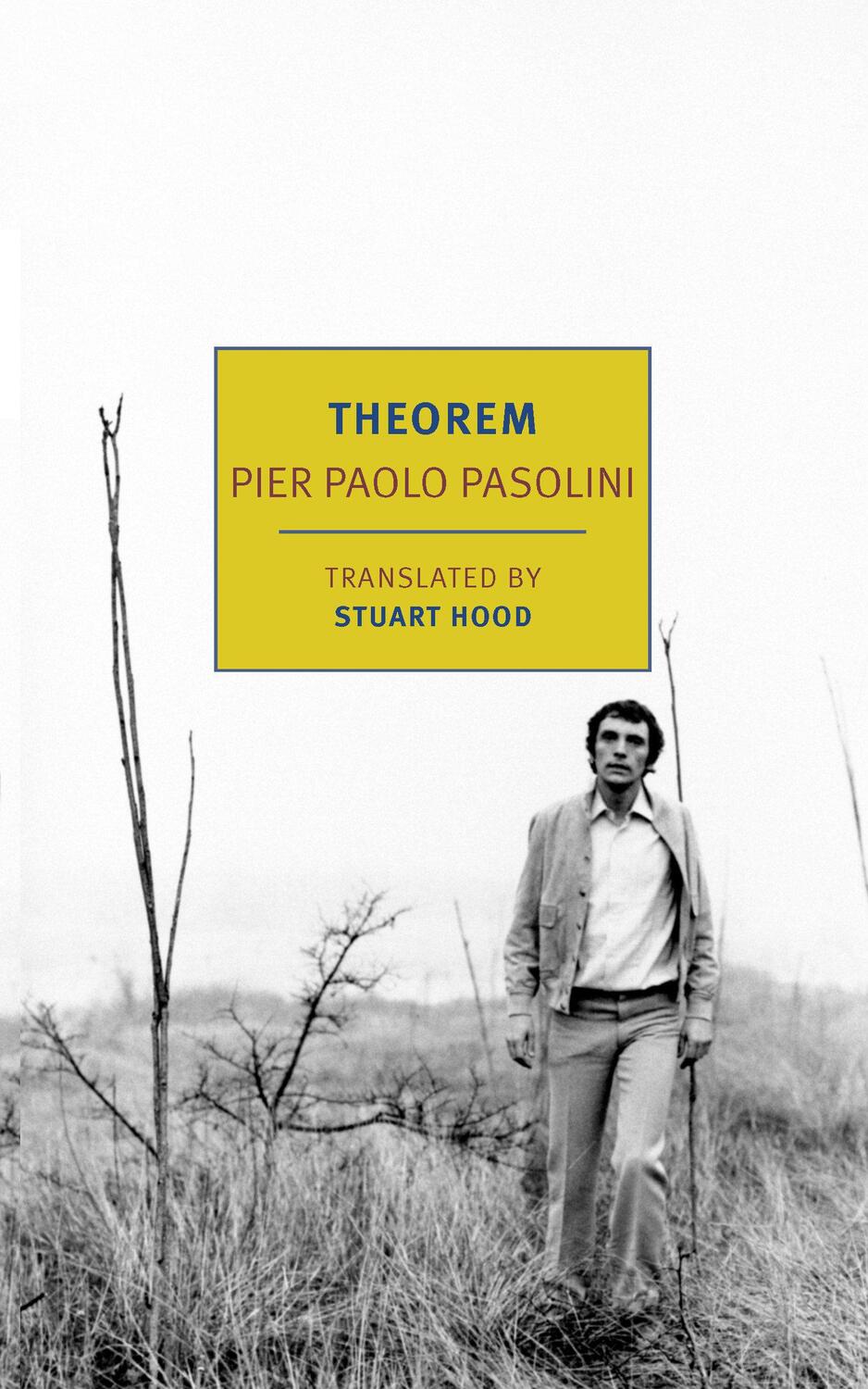 Cover: 9781681377643 | Theorem | Pier Paolo Pasolini | Taschenbuch | Englisch | 2023