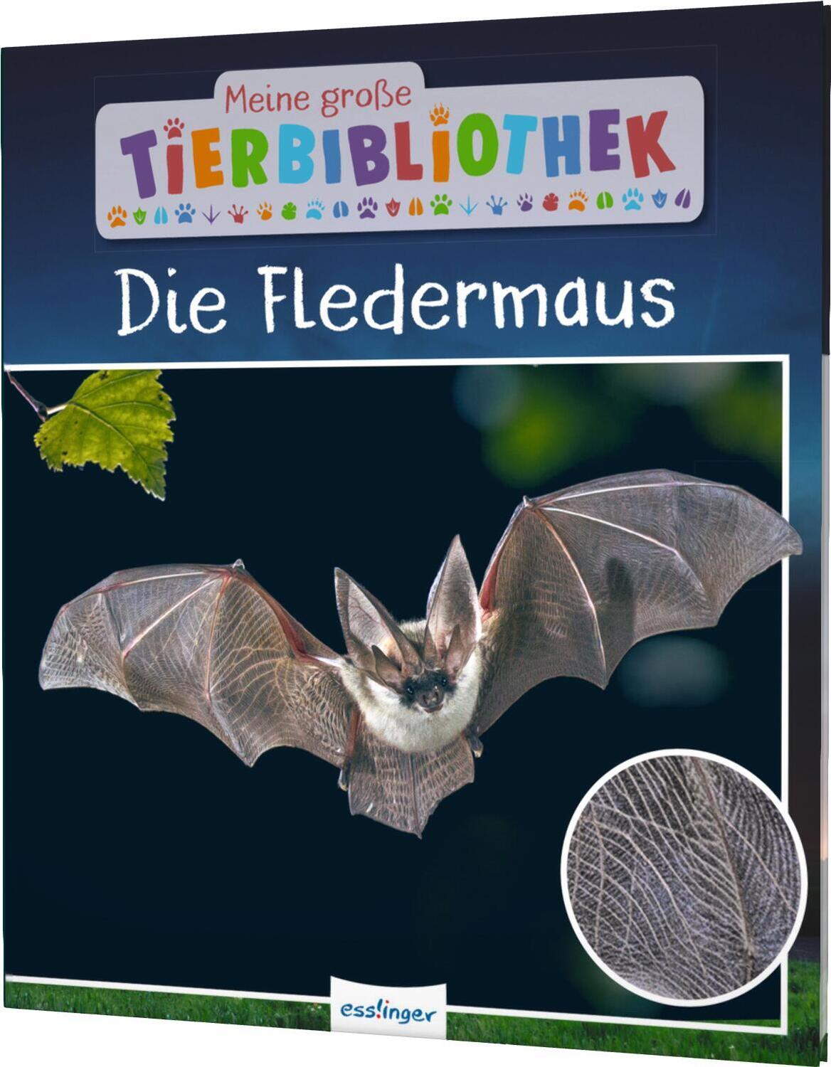Cover: 9783480236220 | Meine große Tierbibliothek: Die Fledermaus | Jens Poschadel (u. a.)
