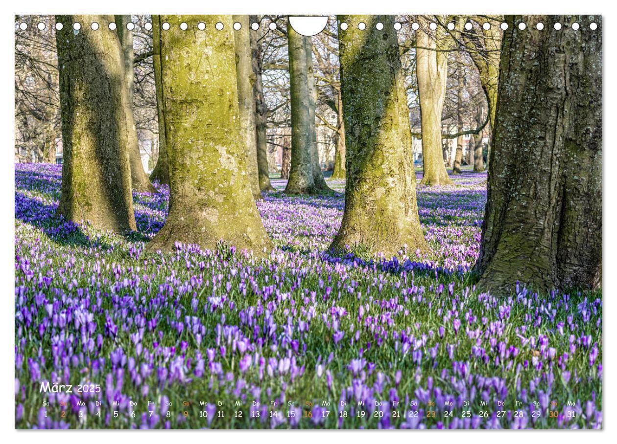 Bild: 9783383806124 | Westküste - Zwischen St. Peter Ording, Büsum und Elbe (Wandkalender...