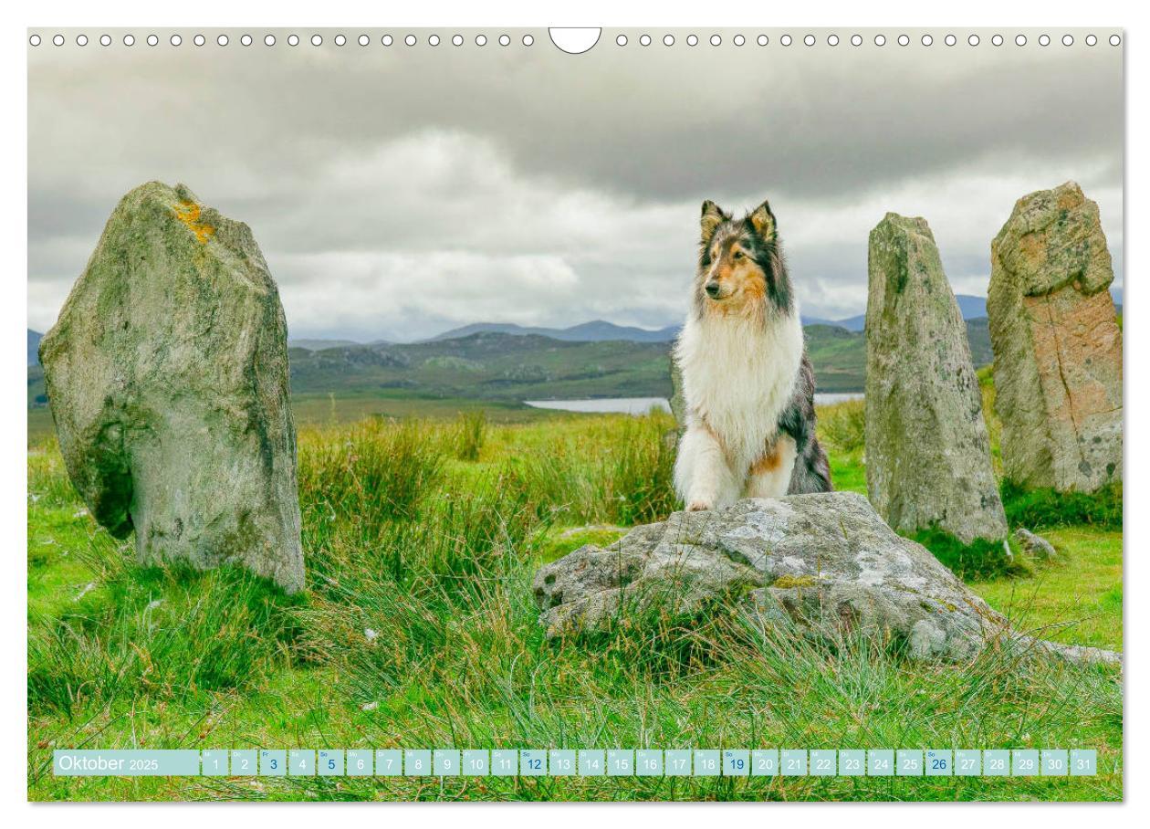 Bild: 9783435175758 | Highland-Collies - Auf vier Pfoten durch Schottland und Irland...