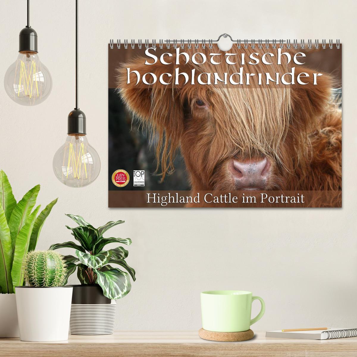 Bild: 9783435731640 | Schottische Hochlandrinder - Highland Cattle im Portrait...