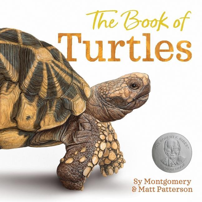 Cover: 9780358458074 | The Book of Turtles | Sy Montgomery | Buch | Gebunden | Englisch