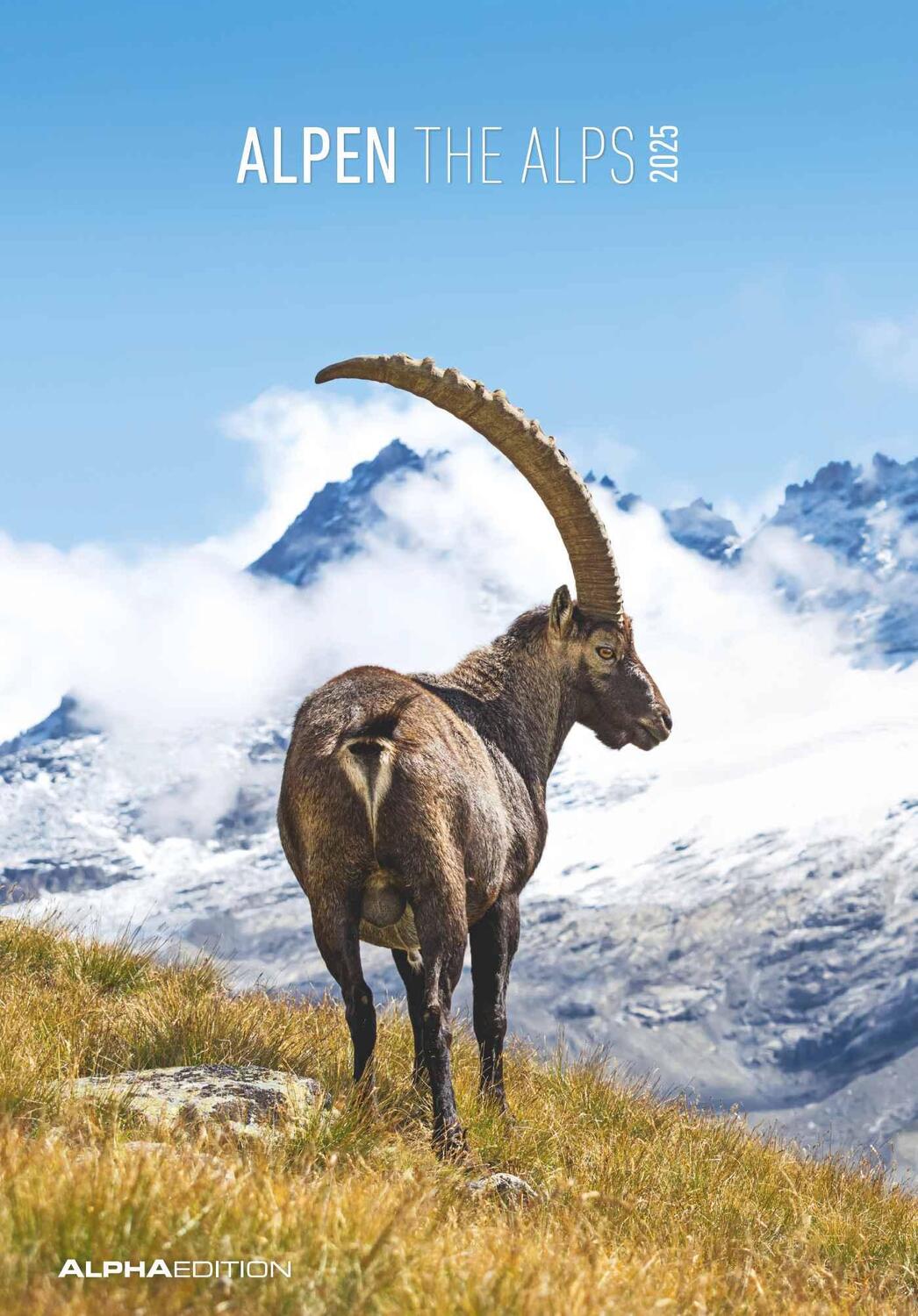 Cover: 4251732341091 | Alpen 2025 - Bild-Kalender 23,7x34 cm - The Alps - Wandkalender -...