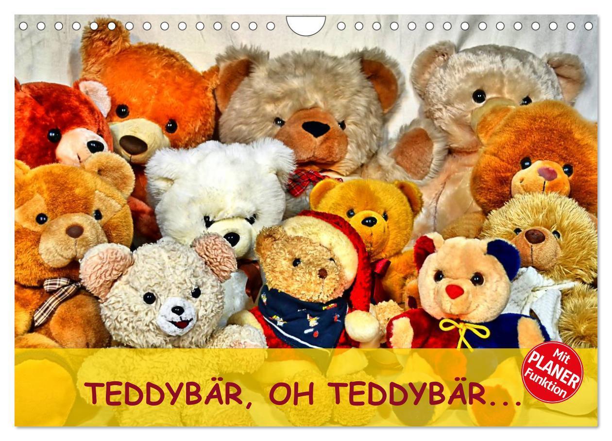 Cover: 9783435496068 | TEDDYBÄR, OH TEDDYBÄR... (Wandkalender 2025 DIN A4 quer), CALVENDO...