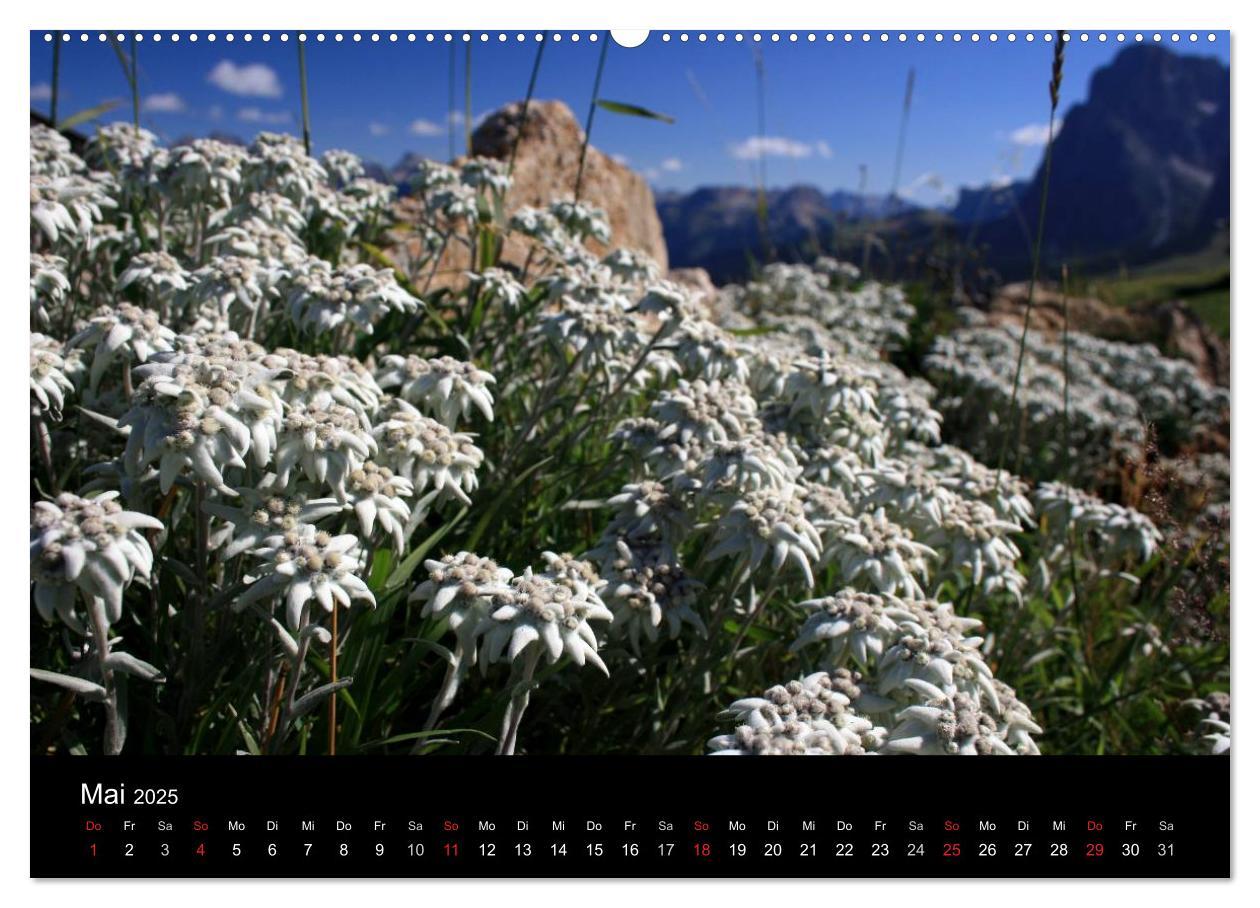 Bild: 9783435473533 | Alpe di Siusi - Seiser Alm (Wandkalender 2025 DIN A2 quer),...