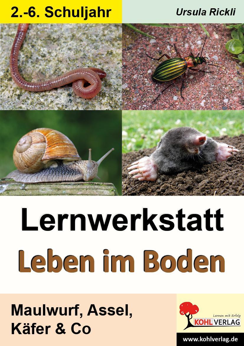 Cover: 9783866321168 | Lernwerkstatt Leben im Boden | Maulwurf, Assel, Käfer & Co | Rickli
