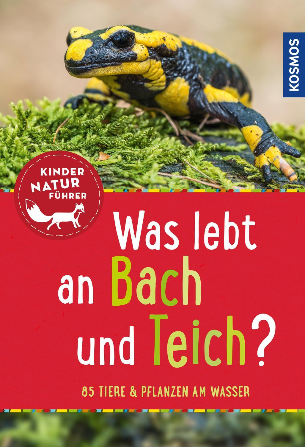 Cover: 9783440147993 | Was lebt an Bach und Teich? Kindernaturführer | Anita van Saan | Buch