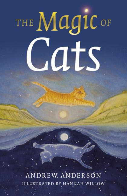 Cover: 9781803410661 | The Magic of Cats | Andrew Anderson | Taschenbuch | Englisch | 2023