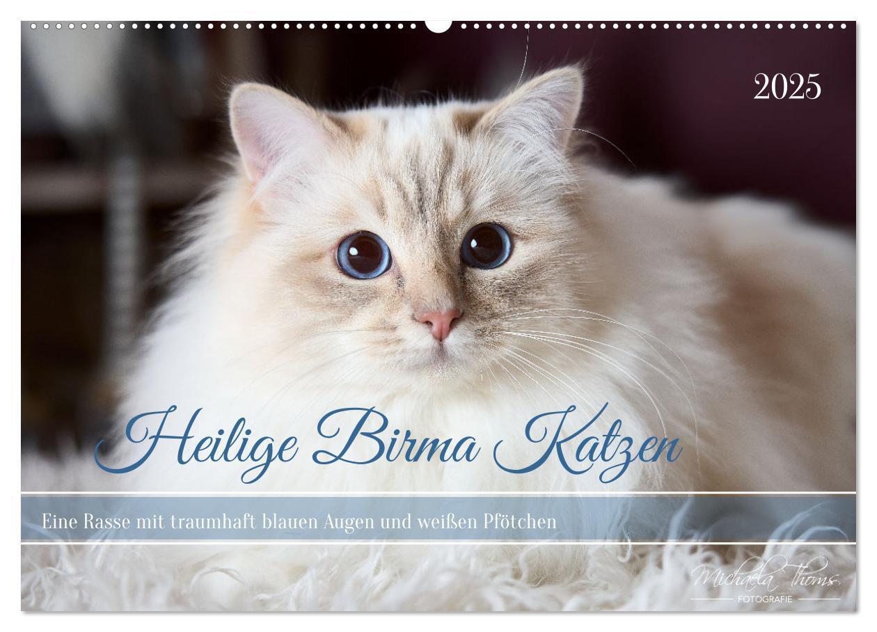 Cover: 9783435243099 | Heilige Birma Katzen mit traumhaft blauen Augen und weißen Pfötchen...