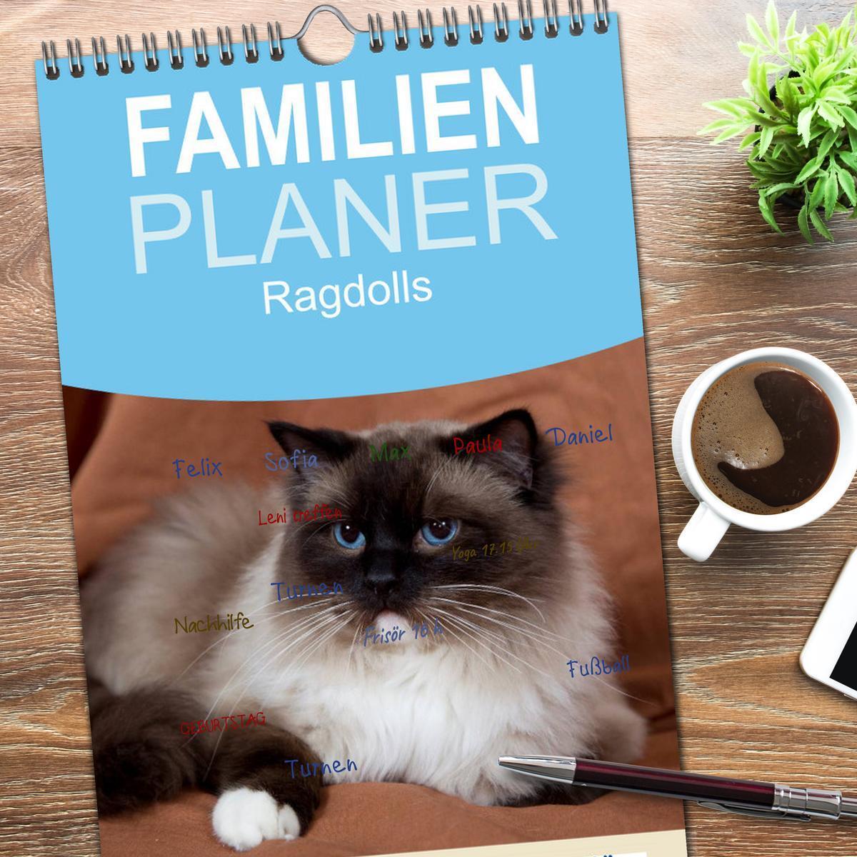 Bild: 9783457121771 | Familienplaner 2025 - Ragdolls mit 5 Spalten (Wandkalender, 21 x 45...