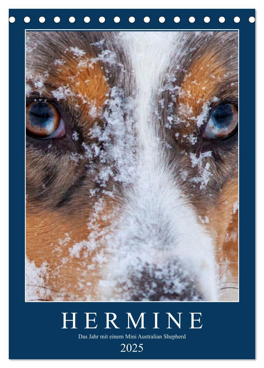 Cover: 9783435928606 | Hermine - Ein Jahr mit einem Mini Australian Shepherd...