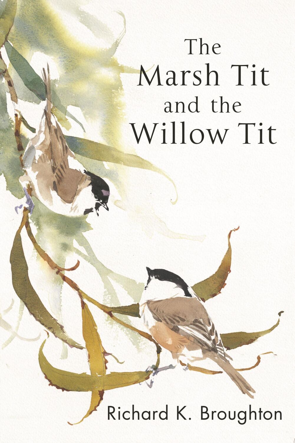 Cover: 9781472980328 | The Marsh Tit and The Willow Tit | Richard Broughton | Taschenbuch