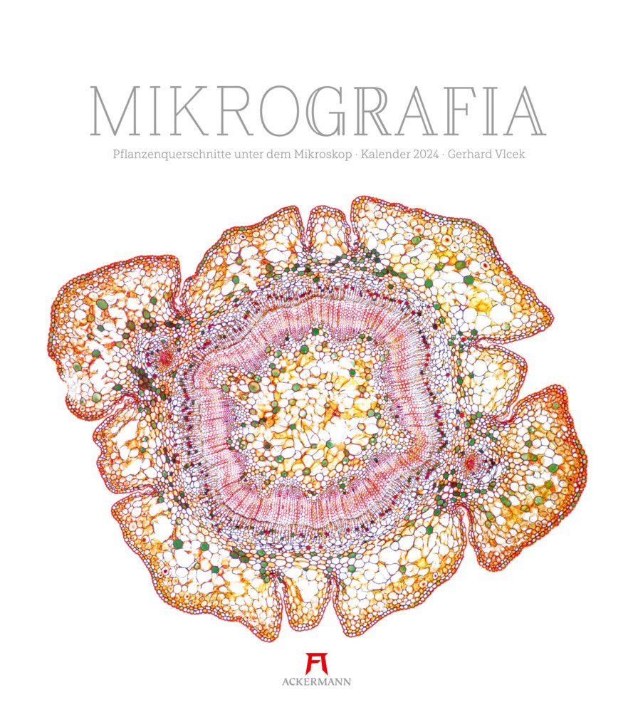 Cover: 9783838424187 | MikroGrafia - Pflanzenquerschnitte unter dem Mikroskop - Gerhard...