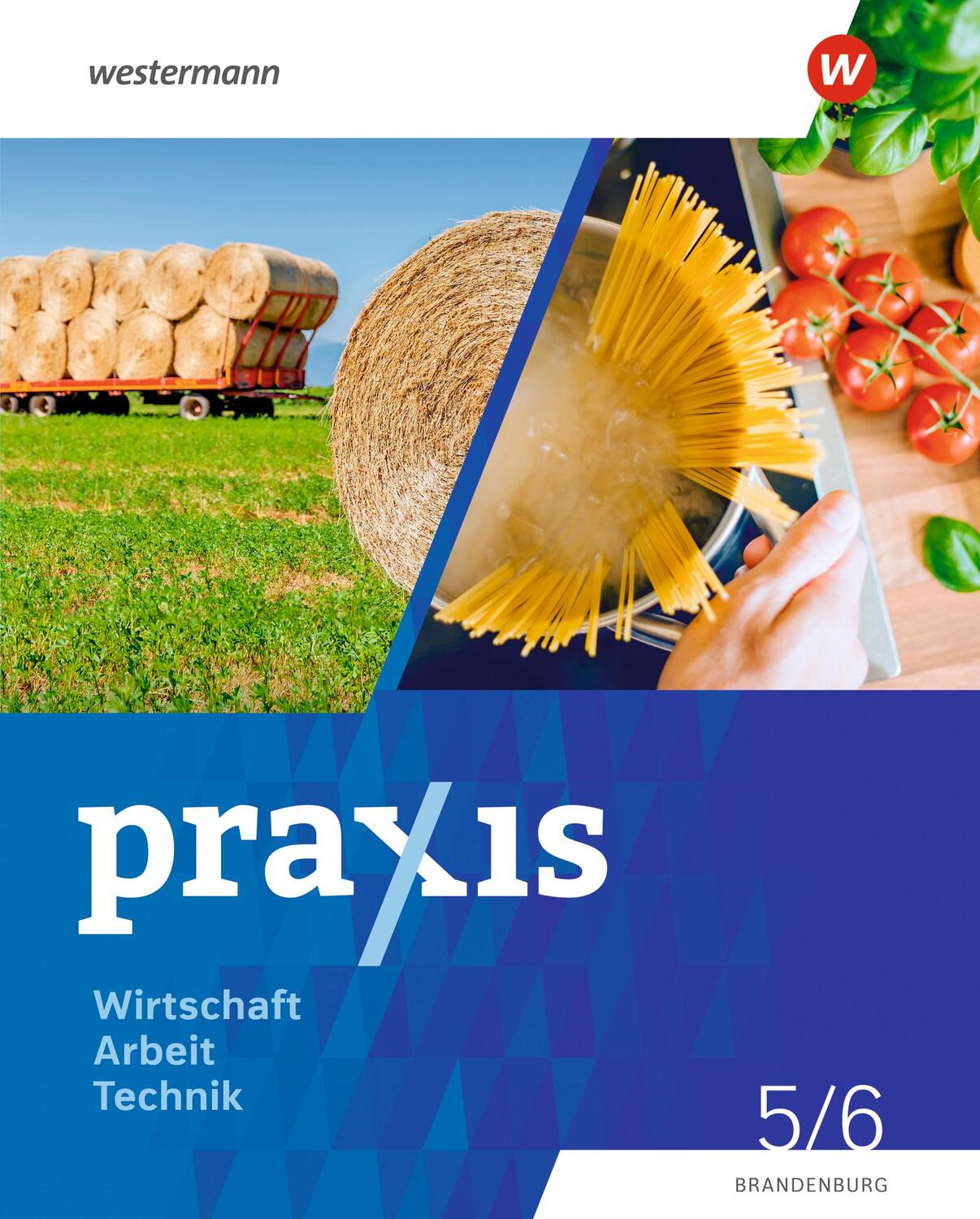 Cover: 9783141178821 | Praxis - WAT 5. / 6. Schuljahr. Schülerband. Brandenburg | Buch | 2024