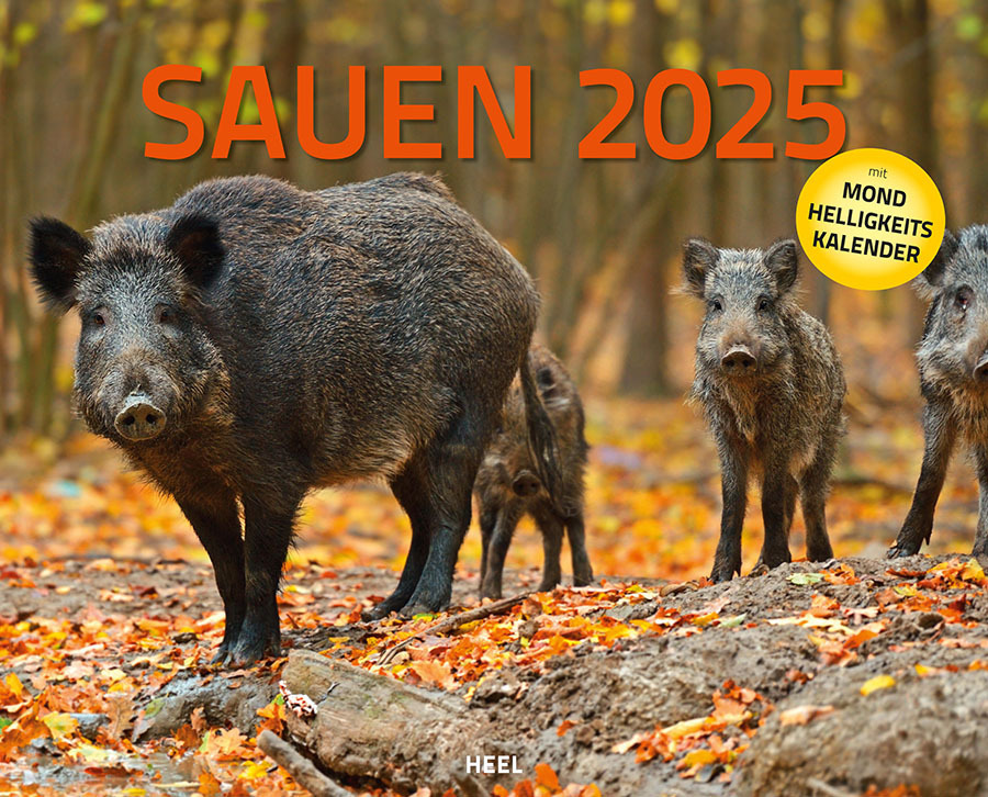 Cover: 9783966647991 | Sauen Kalender 2025 Jagd-Kalender im XXL-Format | Kalender | 14 S.