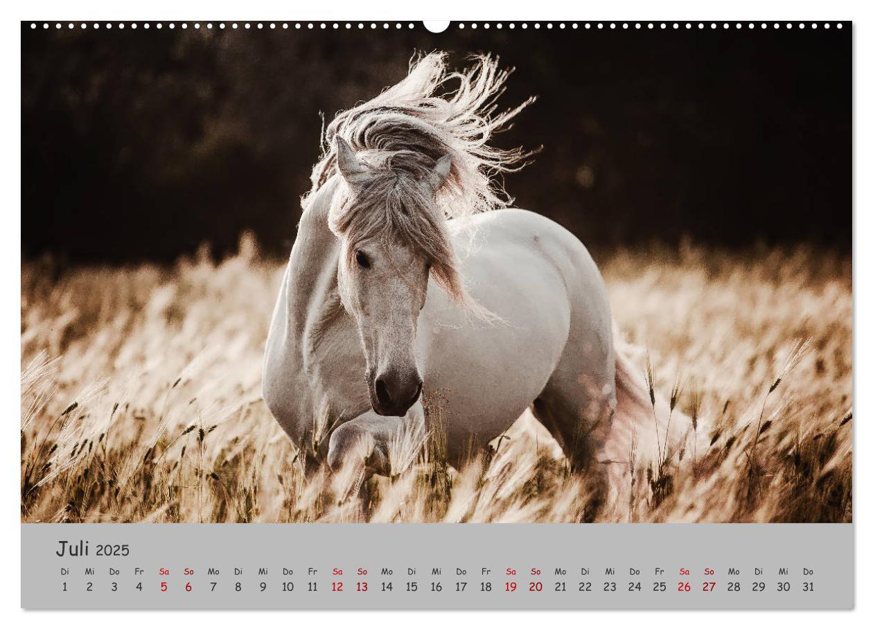 Bild: 9783435336357 | Spiegel deiner Seele (hochwertiger Premium Wandkalender 2025 DIN A2...