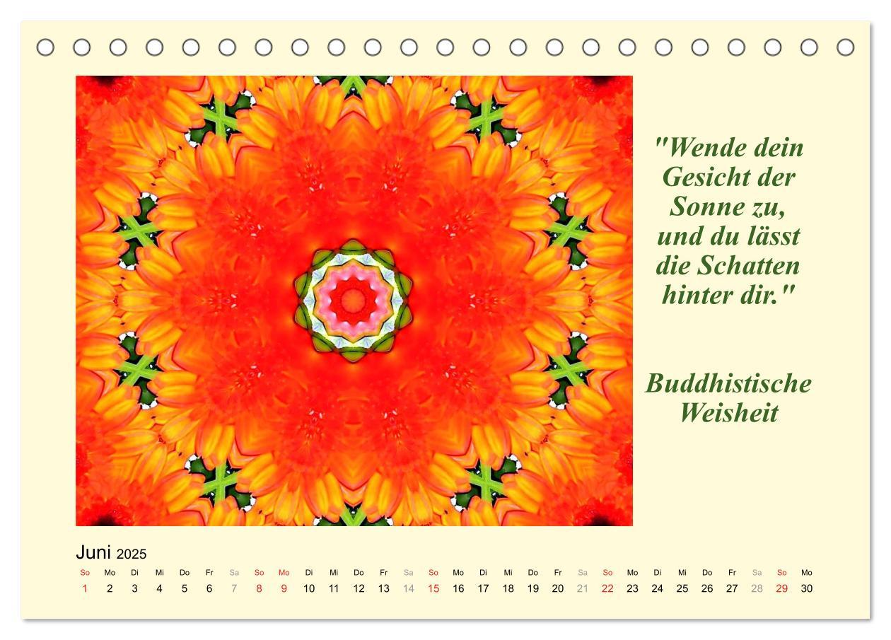 Bild: 9783435722341 | Meditation - Asiatische Weisheiten (Tischkalender 2025 DIN A5...