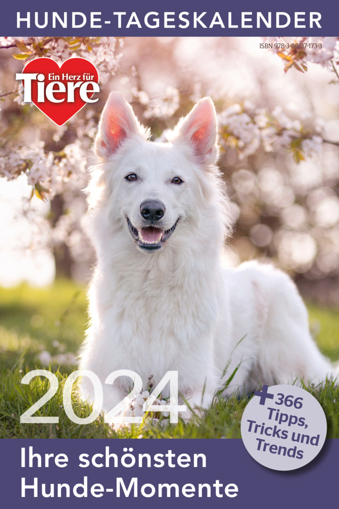 Cover: 9783865171733 | Hunde Tageskalender 2024 | Kalender | Geblockt | Deutsch | 2024