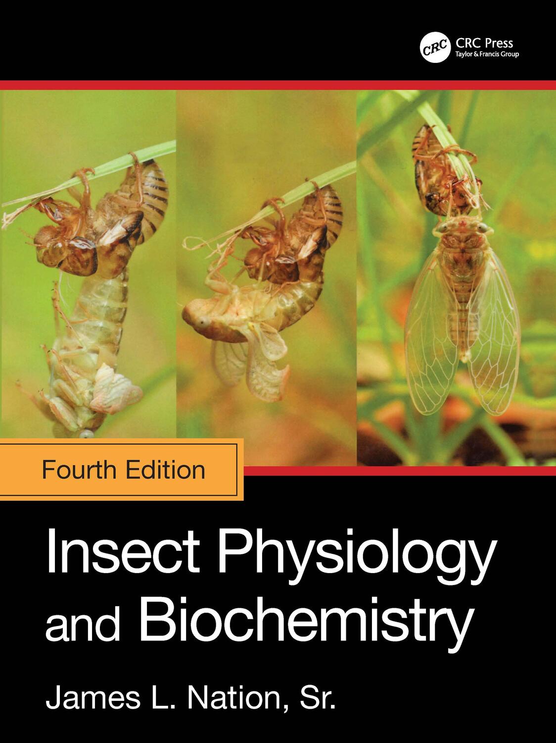 Cover: 9781032247045 | Insect Physiology and Biochemistry | Sr. Nation | Buch | Englisch